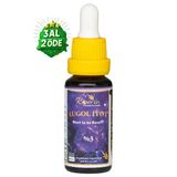 Kiperin Lugol İyot | %3 İyot & &6 Potasyum İyodür | Kaliteli İçerik | Pureness For Health İlkesi | 365 Damla Klı00001