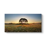 Kır Çiçekleri Ağaç Tablosu 160 x 80