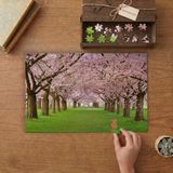 Kiraz Çiçekleri Ağaçları Tasarımı 240 Parça Ahşap Puzzle Ahşap Kutuda MP06988