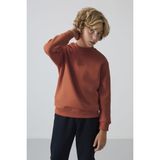 Kiremit Pamuklu Kalın İçi Tüylü Yumuşak Dokulu Standart Fit Nakışlı Erkek Çocuk Sweatshirt - 11232