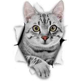 Kırık Cam Efekti Kedi Araba Oto Sticker Etiket Z1