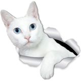 Kırık Cam Efekti Kedi Araba Oto Sticker Etiket Z4