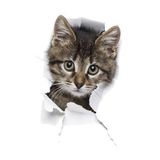 Kırık Cam Efekti Kedi Araba Oto Sticker Etiket Z6