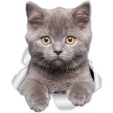 Kırık Cam Efekti Kedi Araba Oto Sticker Etiket Z7