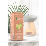 KIRINTI 2000 Ada Limonu Kokulu Buhurdanlık Esansı 10 Ml