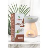 Kırıntı 2000 Adaçayı Kokulu Buhurdanlık Esansı 10 Ml