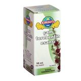 Kırıntı 2000 Çam Terebentin Esansı 50 Ml 2 Adet
