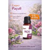 KIRINTI 2000 Paçuli Kokulu Esansı 10 ml – Buhurdanlık, Difüzör ve Oda Kokusu