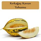 Kırkağaç Kavun 10 Gr 1 Adet