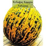 Kırkağaç Kavun Tohumu 1 Paket (10Gr=300+ Adet) Kırk Ağaç Kavun Tohumu