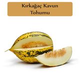 Kırkağaç Kavun Tohumu 1 Paket Kırk Ağaç Kavun Tohumu Kapalı Paket Yüksek Verimli Tohum Sarı Kavun