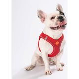 Kırmızı Air-Mesh Göğüs Tasması Kedi Köpek Göğüs Tasması 3xs