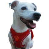 Kırmızı Air-Mesh Göğüs Tasması Kedi Köpek Göğüs Tasması 3xs