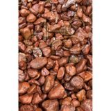 Kırmızı Bordo Dolomit Çakıl Taşı 4-6 Cm 10 Kg Dekoratif Bahçe Peyzaj Saksı Akvaryum Teraryum