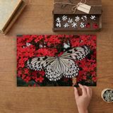 Kırmızı Çiçeklerin Üstündeki Siyah Beyaz Büyük Kelebek Tasarımı 240 Parça Ahşap Puzzle Ahşap Kutuda MP04205