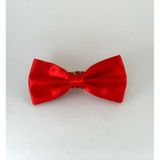 Kırmızı Düz Renk Saten Papyon - SP02