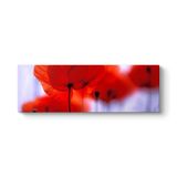 Kırmızı Gelincikler Tablosu 150 x 50