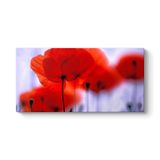 Kırmızı Gelincikler Tablosu 160 x 80