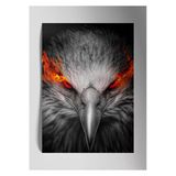 Kırmızı Göz Kartal - Metal Poster Tablo