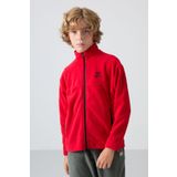 Kırmızı Kalın Yumuşak Dokulu Standart Fit Nakışlı Polar Erkek Çocuk Sweatshirt - 11223