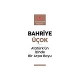 Kırmızı Kedi Atatürk’ün Izinde Bir Arpa Boyu: Cumhuriyet Bilgeleri + Tolkien + Hagi Benim Futbol Kahramanım + Yedek: Prens Harry - Hayır