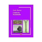 Kırmızı Kedi Cinlerin Istanbulu + Insan Figürü Çizimi + Blue Focus Tangram 67 Parça + 3 Kitap - Hayır