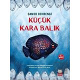 Kırmızı Kedi Çocuk - Küçük Kara Balık