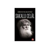Kırmızı Kedi Sakallı Celal + Top Oynayan Kedi Mağazası - Hasan Ali Yücel Klasikler - Hayır