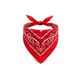 Kırmızı Kovboy Fuları Çocuk Bandana 1766574360644