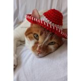 Kırmızı Kovboy Şapka Örgü Kedi Köpek Şapkası Oyuncak Hikayesi Toy Story Jessie Şapkası Pet Aksesuar