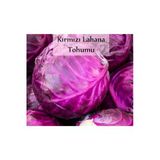 Kırmızı Lahana Tohumu 1 Paket Kırmızı Lahana Mor Lahana Tohumu Ekmeye Uygun Verimli Paket Tohum
