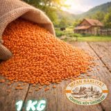 Kırmızı Mercimek 1 Kg ( Köy Mahsulu
