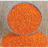 Kırmızı Mercimek 1Kg