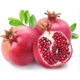 Kırmızı Nar Ağacı Tohumu 5 Tohum + Saksı + Toprak+ Tohum