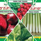 KIRMIZI PANCAR - FINDIK TURP - ISPANAK - PIRASA 4'LÜ TOHUM SETİ