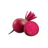 Kırmızı Pancar Tohumu - 5 Gram