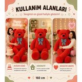 Kırmızı Papyonlu Dev Pelüş Ayıcık,yumuşak ve Sevimli Büyük Boy Oyuncak Ayısevgiliye Hediye Ayıcık (160CMKIRMIZI) - Çok Renkli
