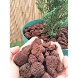 Kırmızı Pomza Taşı 15-25 mm 10 Kg Volkanik Cürüf Ponza Lav Kırığı Akvaryum Teraryum Bahçe Süs Taş