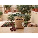Kırmızı Pomza Taşı 15-25 mm Volkanik Cüruf Ponza Lava Kırığı -Peyjaz Taşı -Terarium -Bahçe Dekorasyonu - Saksı Üstü Süsleme - 10 kg