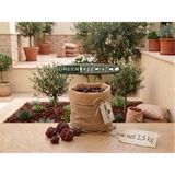 Kırmızı Pomza Taşı 15-25 mm Volkanik Cüruf Ponza Lava Kırığı -Peyjaz Taşı -Terarium -Bahçe Dekorasyonu - Saksı Üstü Süsleme - 2.5 kg