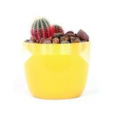 Kırmızı Pomza Taşı - 2-3 Cm Volkanik Cürüf
