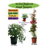 Kırmızı Renk Begonvil+Kokulu Klasik Yasemin+Tül Kuşkonmaz Hediyeli 3'lü Peyzaj Seti