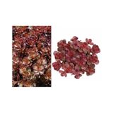 Kırmızı Sedum 25 Adet - Yer Örtücü Çok Yıllık Bitki