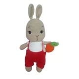 Kırmızı Tulumlu Havuçlu Bal Yanak Tavşan Amigurumi Organik Oyuncak