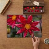 Kırmızı Yıldız Çiçeği Tasarımı 240 Parça Ahşap Puzzle Ahşap Kutuda MP01965
