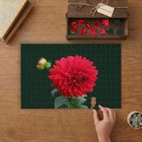 Kırmızı Yıldız Çiçeği Tasarımı 240 Parça Ahşap Puzzle Ahşap Kutuda MP05770