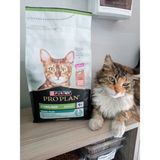 Kısırlaştırılmış Kuru Kedi Mama Somonlu 1.5 kg (2 ADET KEDİ ÖDÜL YAŞ MAMA HEDİYE) - 1 ADET