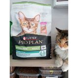 Kısırlaştırılmış Kuru Kedi Mama Somonlu 3 kg - 1 ADET