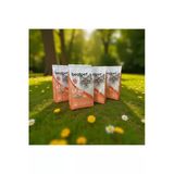 Kısırlaştırılmış Yetişkin Somonlu Kuru Kedi Maması 1Kg*4 Adet Petfarm