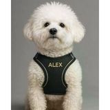 Kişiye Özel Airmesh Köpek Göğüs Tasması İsimli Göğüs Tasması I Küçük Ve Orta Irk Köpekler I Renk Seçenekli (Siyah, L)